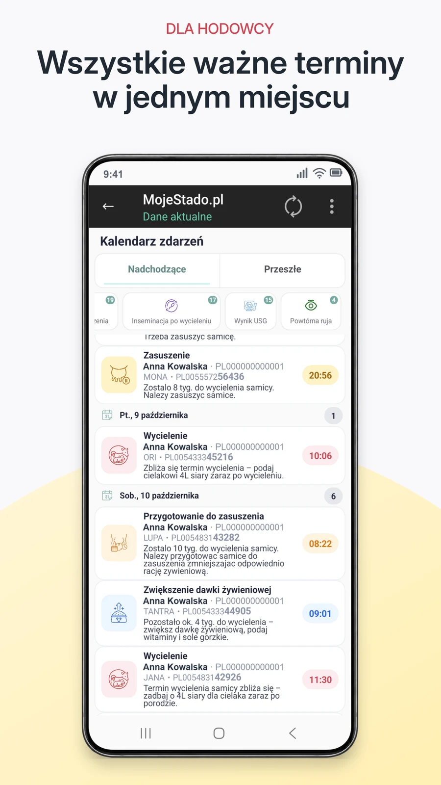 Ważne terminy w jednym miejscu