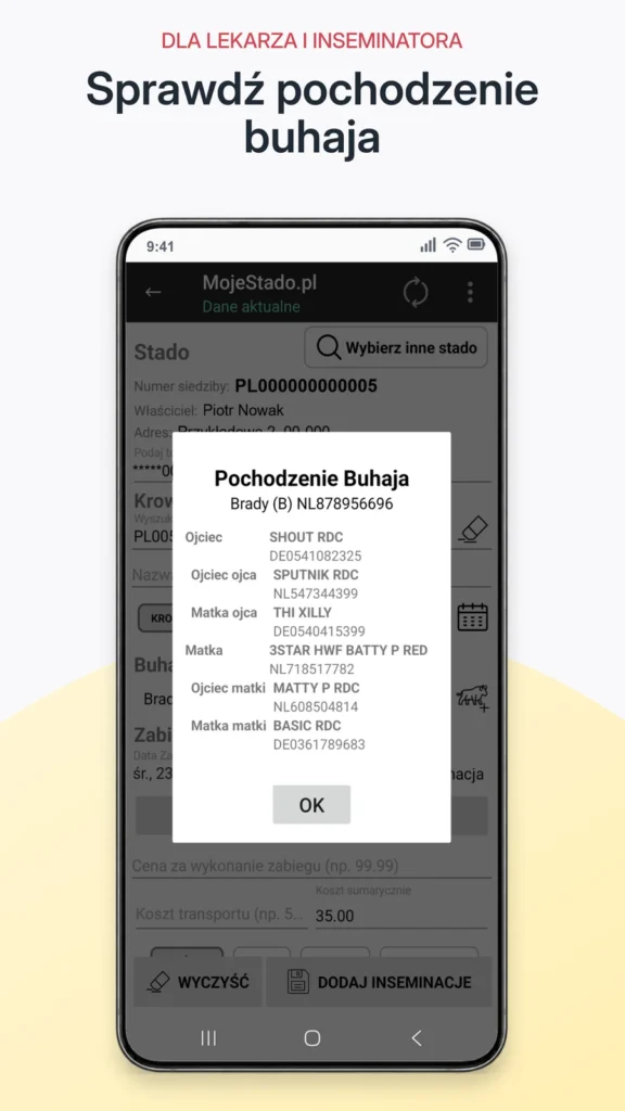 Pochodzenie buhaja